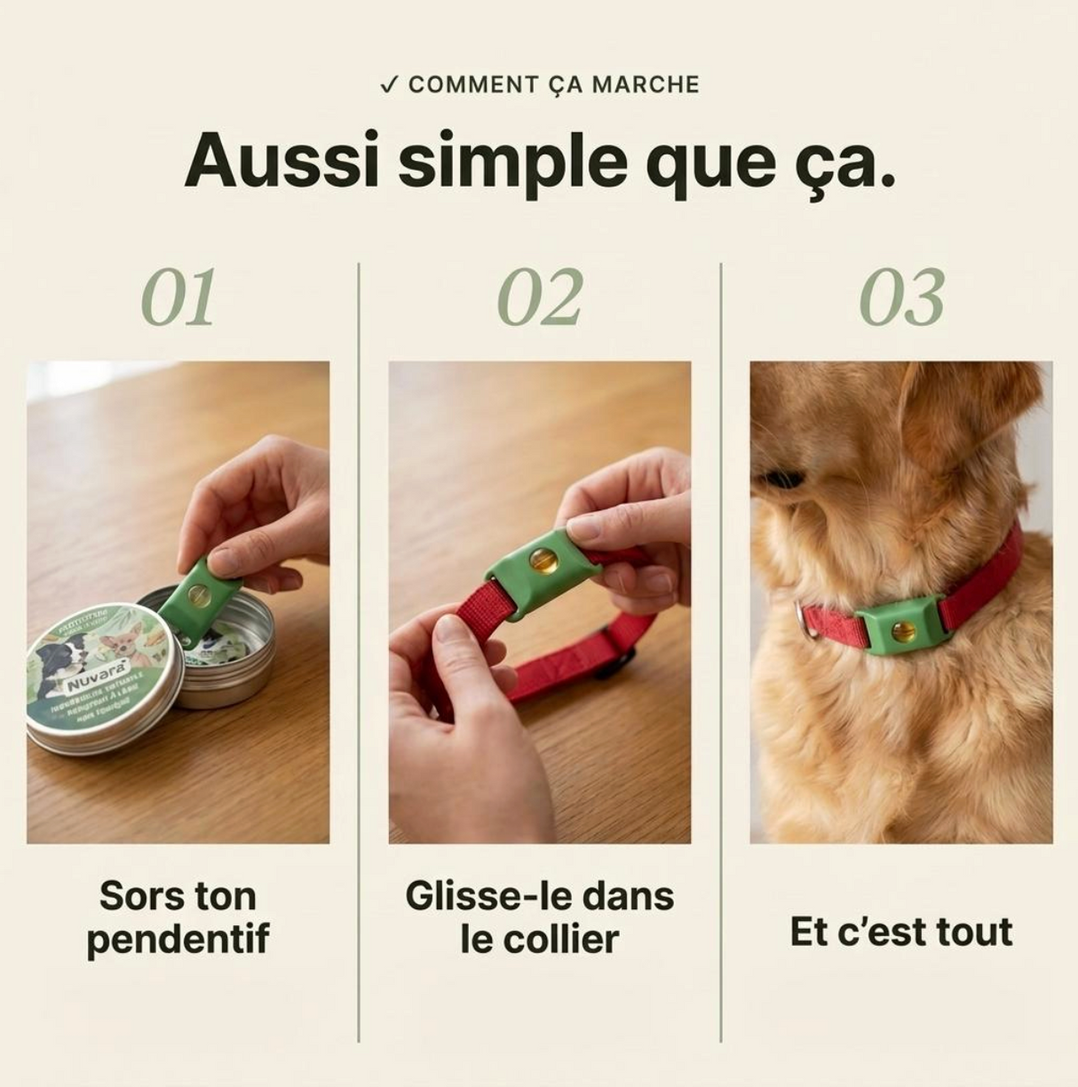 Pendentif Nuvara™ -  Collier Bien-être pour chien