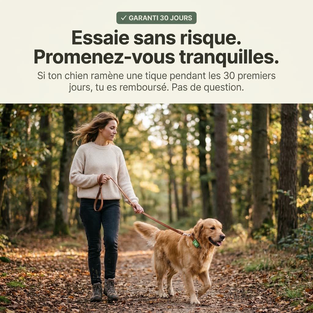 Pendentif Nuvara™ -  Collier Bien-être pour chien