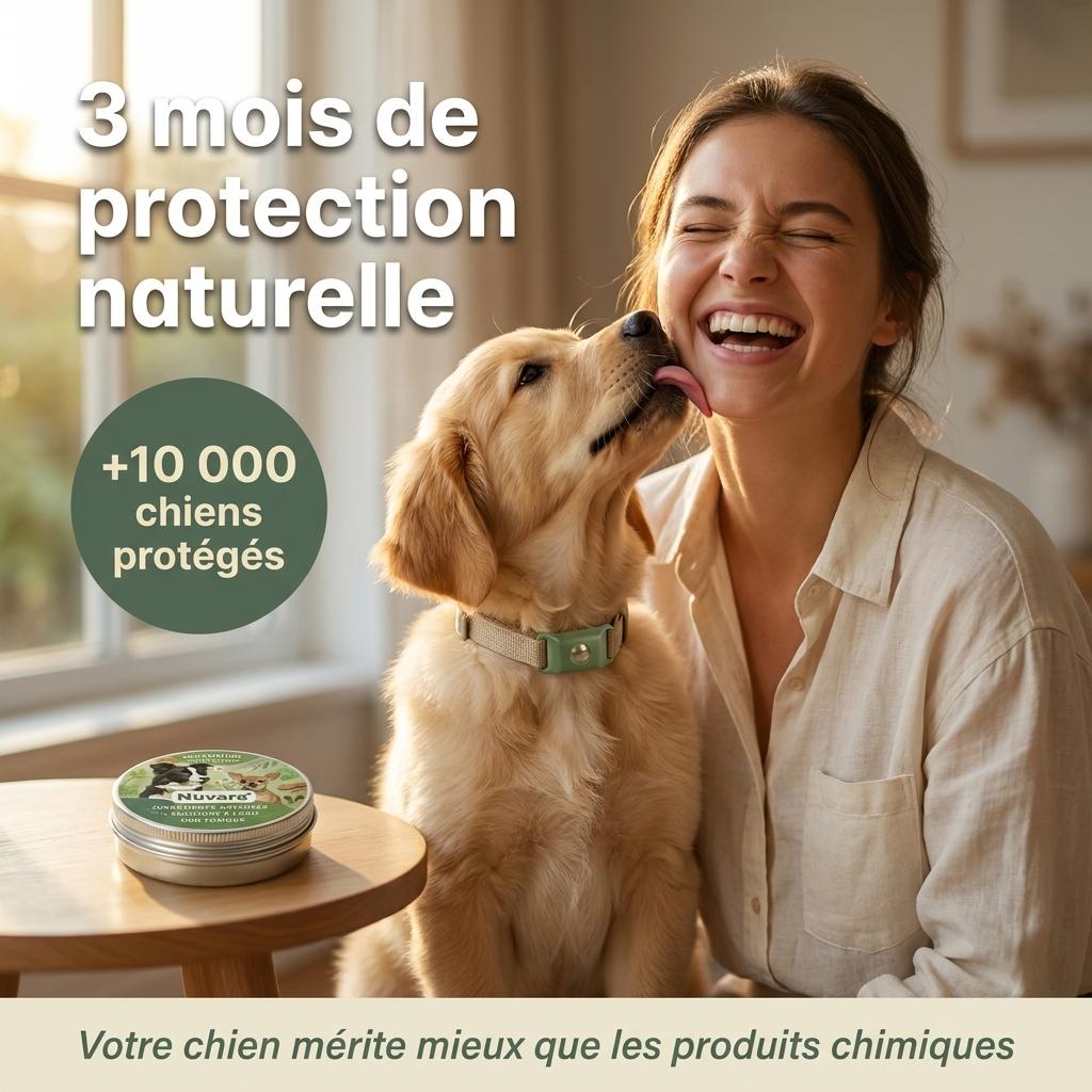 Pendentif Nuvara™ -  Collier Bien-être pour chien